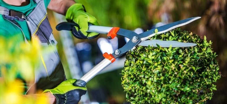 Gardening Services Gardening Services