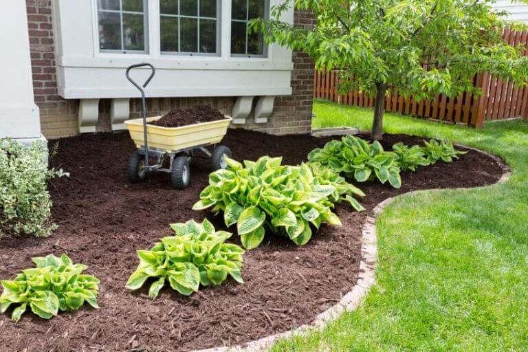 Garden maintenance and landscaping Garden maintenance and landscaping