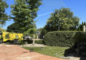 Gardening Services in Canberra