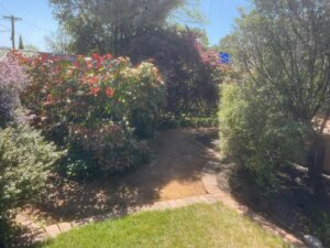 Canberra Garden services