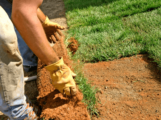 Landscapers