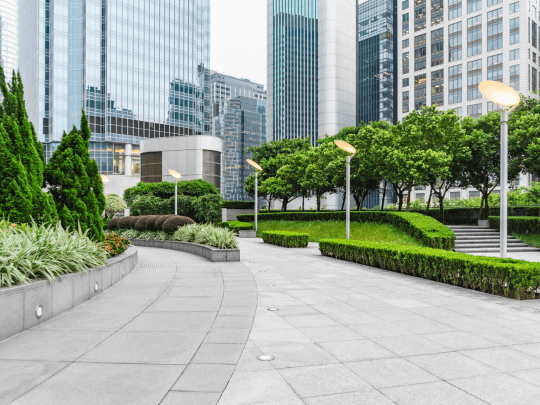 Commercial Landscaping Maintenance