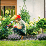Professional Landscaping Canberra