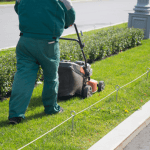 Landscaping in Canberra