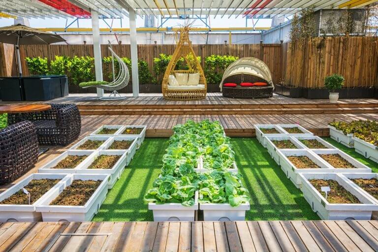 Outdoor Landscape Trends Outdoor Landscape Trends