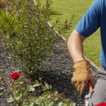 Act House & Landscaping Maintenance | Home Gardening Services Canberra
