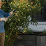 A professional landscaper prunes a mature rose bush in front of a modern home, demonstrating custom home maintenance with a